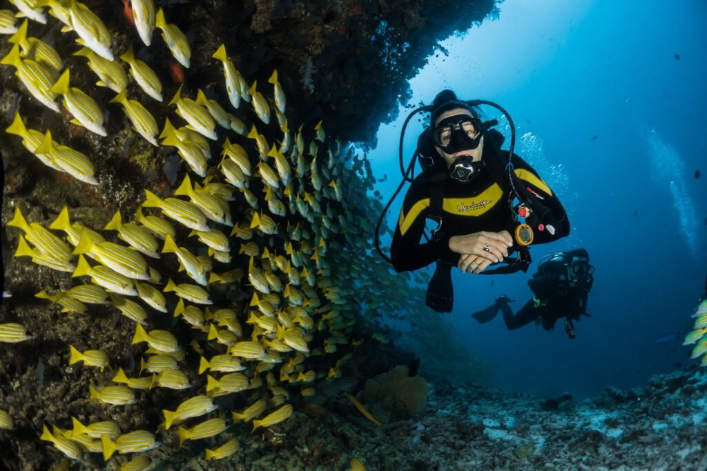 Are There Any Scuba Diving Spots In New Brunswick?