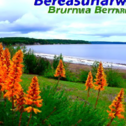 Is New Brunswick A Good Province To Retire In
