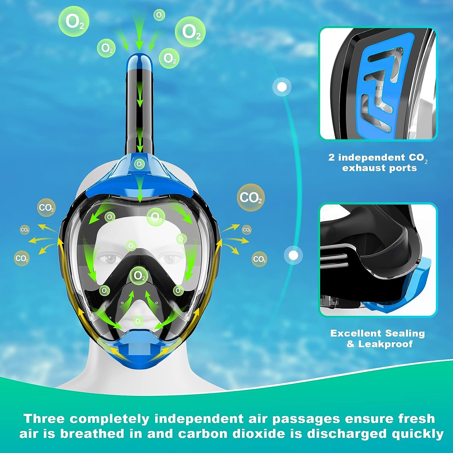 Zeeporte Dive Full Face Snorkel Mask Review