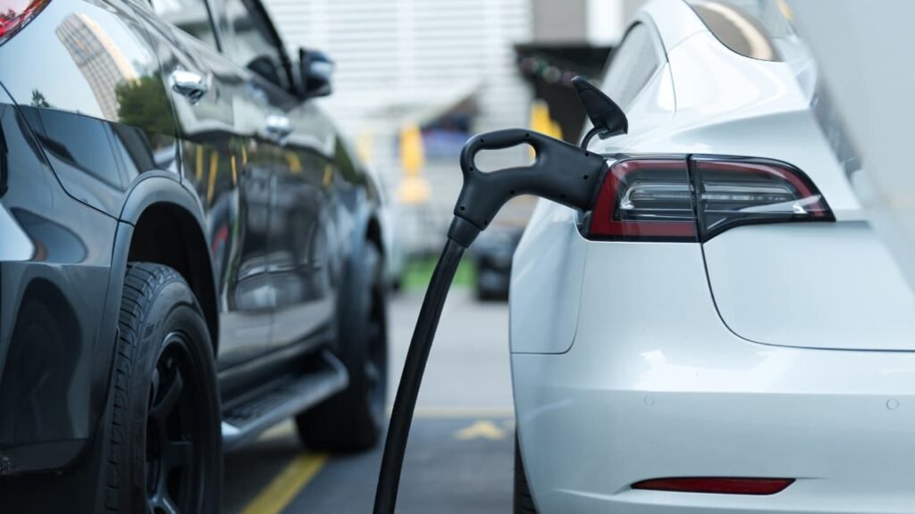Electric vehicle sales in New Brunswick